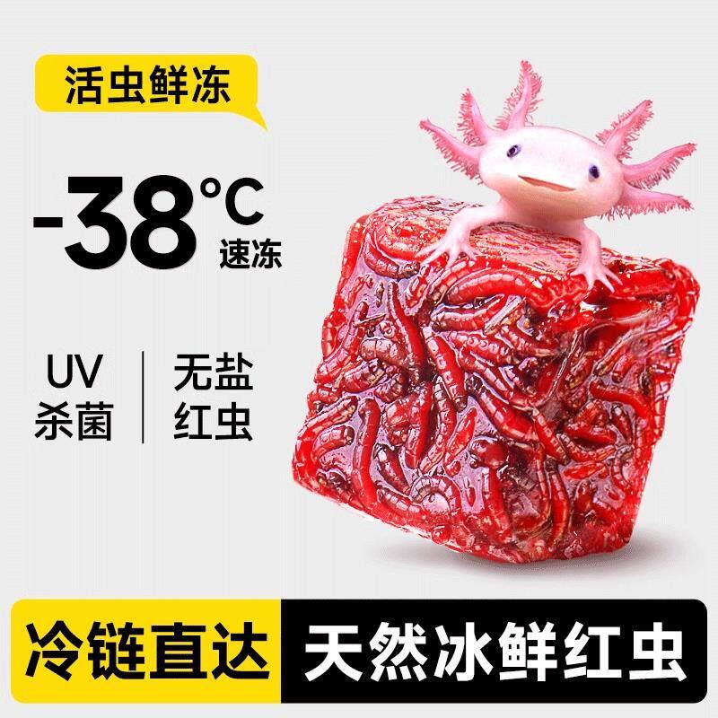 六角恐龙饲料鱼食娃娃鱼蝾螈东方蛋白龟苗开口冷冻底栖鱼红虫鱼粮