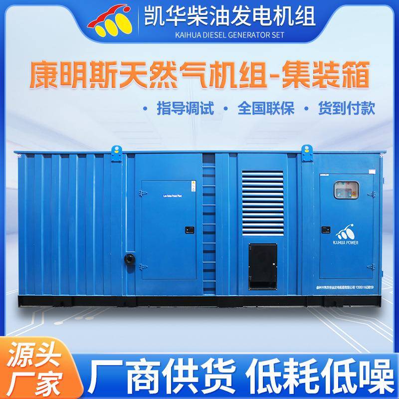 300KW康明斯天然气机组集装箱工地工厂医院房地产用柴油发电机组
