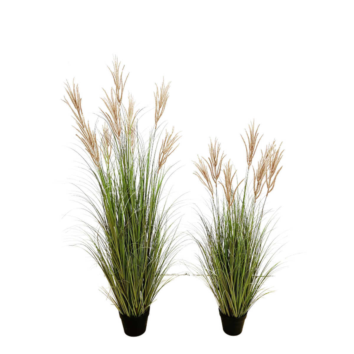 含阳 仿真植物苇落地盆栽家居客厅商铺民宿露营造景服装店装饰品,家居饰品,仿真花/假花,淘宝优惠券,粉丝福利购,淘宝优惠卷