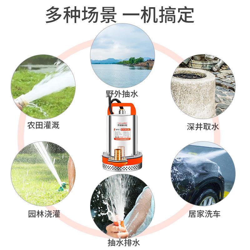 小型灌溉农用抽水机直流潜水泵12V24V48V60V电瓶车电动车水泵