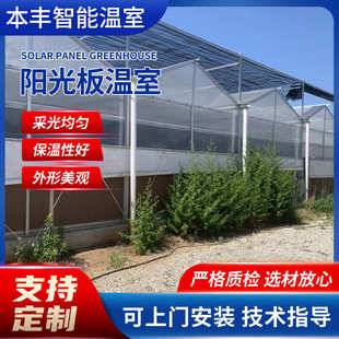 蔬菜大棚生态餐厅阳光板温室园林种植大棚工程建设阳光温室大棚