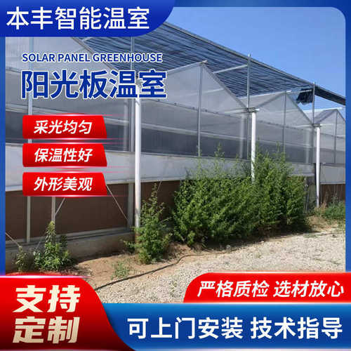 蔬菜大棚生态餐厅阳光板温室园林种植大棚工程建设阳光温室大棚