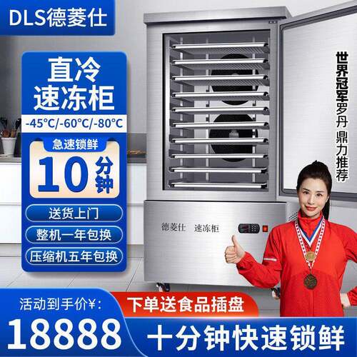 定制德菱仕直冷低温速冻柜商用包子饺子厨房商用急冻柜冷冻柜