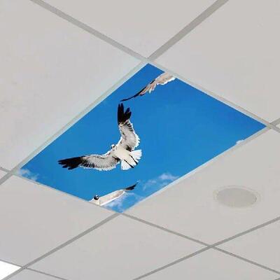 Lampshade Light Cover Nature Print Ceiling Lights Magnetic