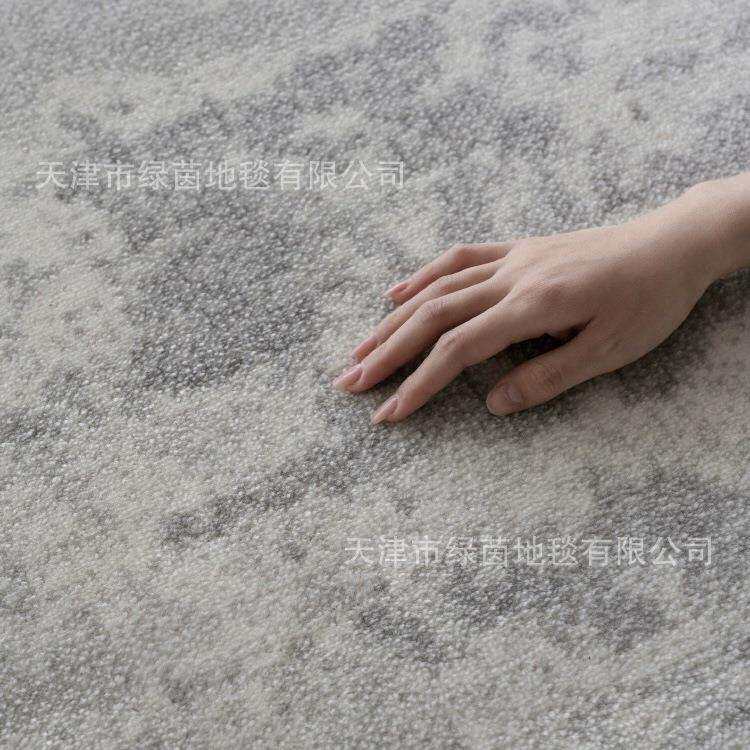 土耳其丙纶客厅地毯高级灰色沙发茶几毯极简现代轻奢满铺卧室毯