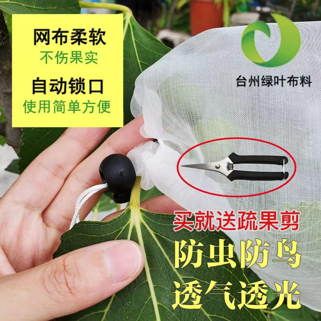 桃子番茄草莓枇杷葡萄无花果套袋防虫专用水果袋加密网袋锁扣