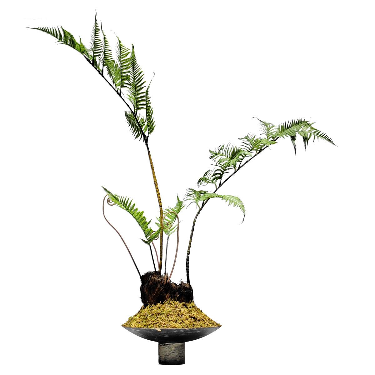 新中式仿真绿植盆景样板房客厅酒店玄关植物文竹盆栽禅意茶室摆件
