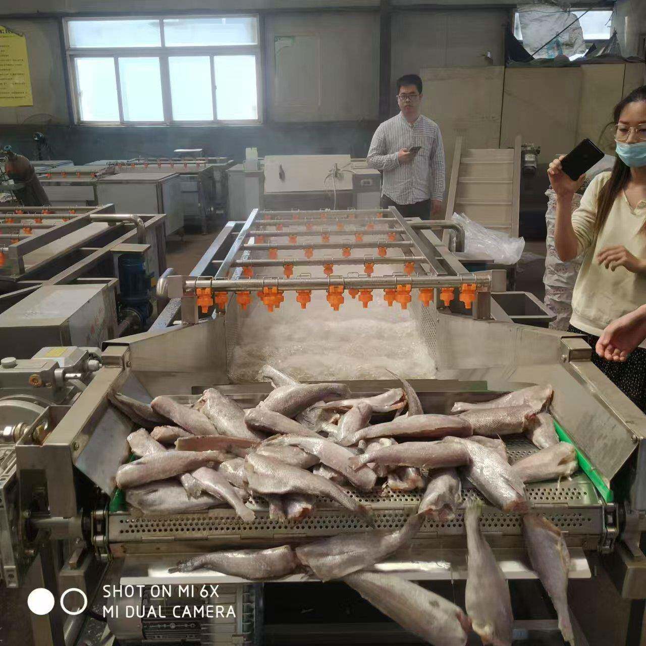 自动气泡清洗机不锈钢商用果蔬清洗机果蔬清洗机洗菜机