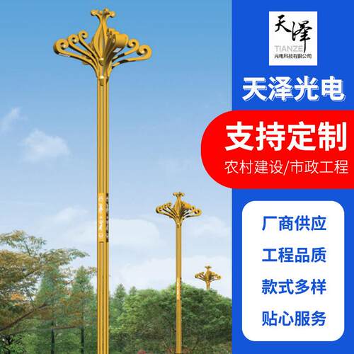 厂家直供城市亮化工程中华灯户外照明玉兰灯中华路灯组合