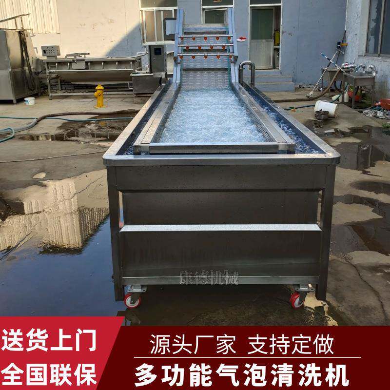 沙棘果鼓泡式清洗机蓝莓高压喷淋清洗机不锈钢龙须菜气泡清洗机