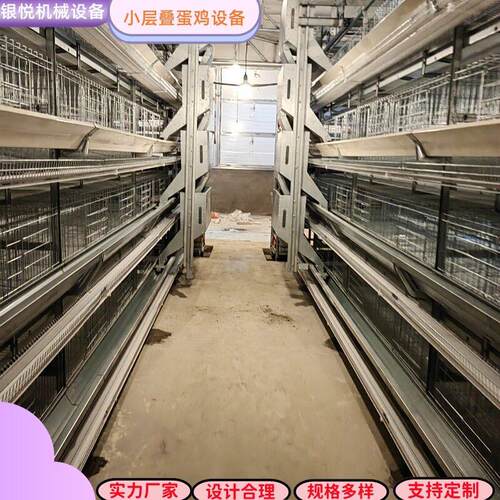 小层叠H型立体自动化三层/四层蛋鸡养殖设备/龙门或背负式喂料
