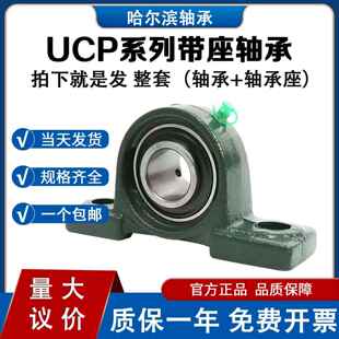外球面轴承带座立式轴承座UCP201P202 P203 P204 P205 P206 P207