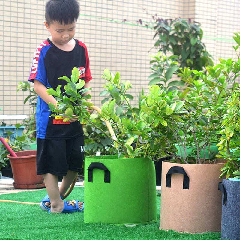 种植箱阳台楼顶种菜盆无纺布种植袋多肉花盆美植袋蔬果月季育苗盘,鲜花速递/花卉仿真/绿植园艺,花盆,淘宝优惠券,粉丝福利购,淘宝优惠卷