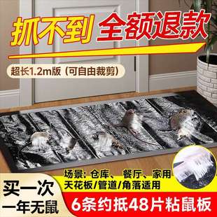 粘鼠板强力胶粘大老鼠贴王中王超大号灭捕鼠神器家用加大一窝端