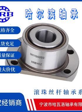 DH7602052RZ DBB FL760205 带法兰丝杆配对整体轴承数控机床