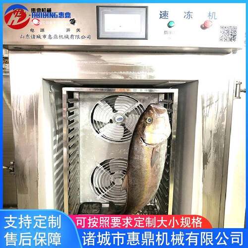 海鲜蔬菜食品小型速冻急冻柜面团肉丸海参速冻柜商用水饺