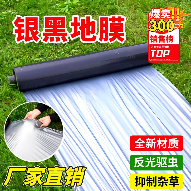 银黑反光地膜加厚农用塑胶膜 蔬菜种植专用除草地膜PE材质