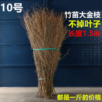 竹枝子扫把竹苗竹叶子竹枝竹子竹条扫把头竹竹子头条装饰摆件手工