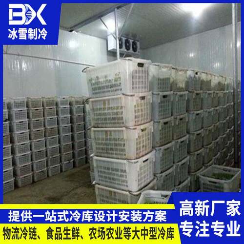 大中型食品冷冻库蔬果保鲜冷库全套设备海鲜肉类低温储存速冻库