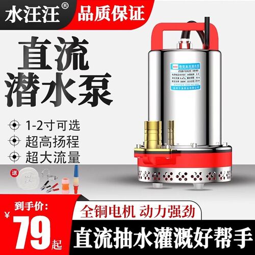 直流潜水泵12V24V48V60V伏电动车水泵电动车抽水泵农用抽水机