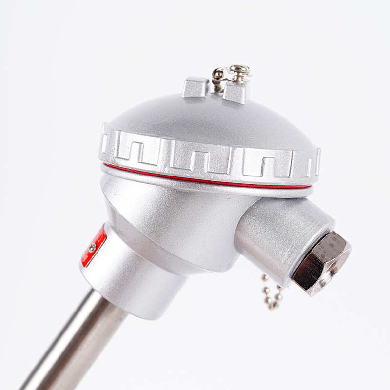 WRNK-131/230/191铠装热电偶K型WZPK热电阻工业温度传感器316L