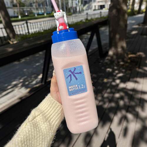 水杯夏日外出可携式女生2026新款塑料水杯冷萃杯随手杯水壶饮水杯