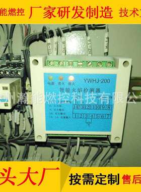 JY-DJ-104C电离式火焰检测器