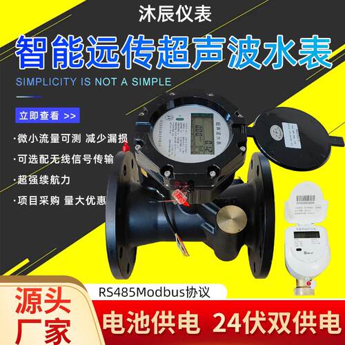 智能超音波水表 单双声道NB无线 线远传农田灌溉给水流量计DN65/1