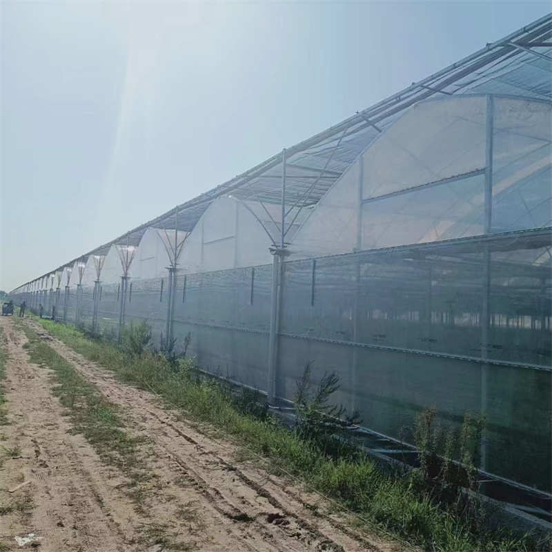 连栋大棚江苏源头厂家供应薄膜温室大棚设计上门安装