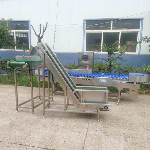 热销多功能菱鲆鱼重量分选机多宝鱼重量分级机多个级别可定制