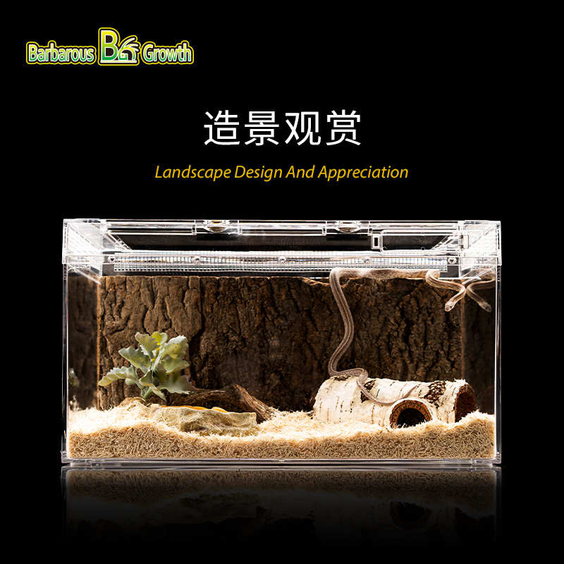 爬宠亚克力饲养箱蜥蜴角蛙蛇睫角守宫寄居蟹爬虫生态雨林缸饲养盒