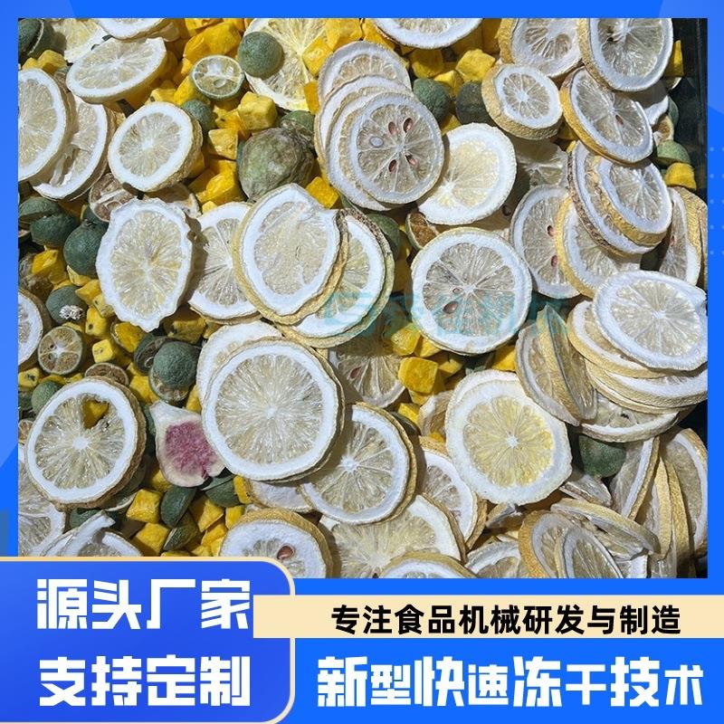 花茶柠檬低温脱水冻干机腐竹奶皮真空冷冻干燥机食品真空冻干机