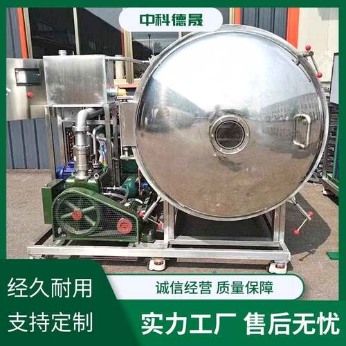不锈钢水果冻干机自动式商用水果冷冻设备黄桃草莓蓝莓真空冻干机