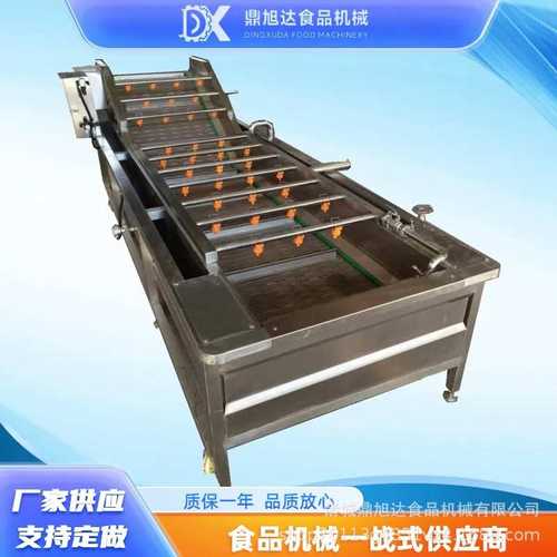 商用圣女果气泡清洗机红枣板栗清洗机器果蔬深加工气泡清洗机