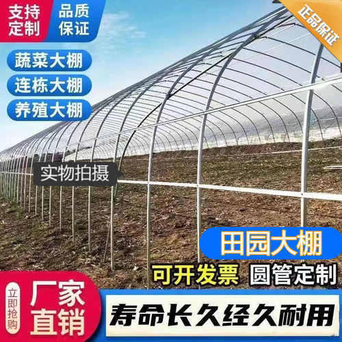 大棚钢管骨架蔬菜种植大棚养猪牛羊大棚养鸡棚养殖温室大棚全套