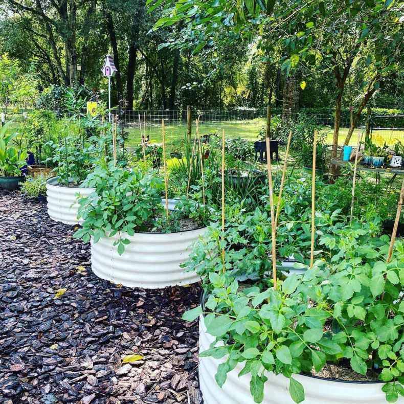 床箱金属床大型种菜镀锌外贸花花园金属 种植厂家庭院花箱床,鲜花速递/花卉仿真/绿植园艺,花盆,淘宝优惠券,粉丝福利购,淘宝优惠卷