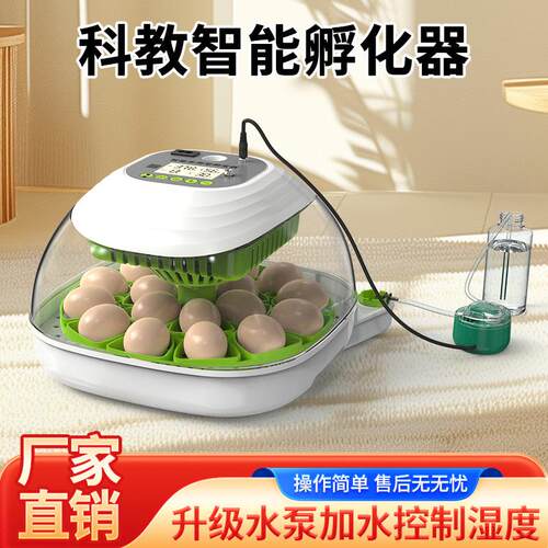 孵化器小型家用全自动小鸡鸟蛋孵化机智能小飞碟鹦鹉芦丁鸡孵蛋器