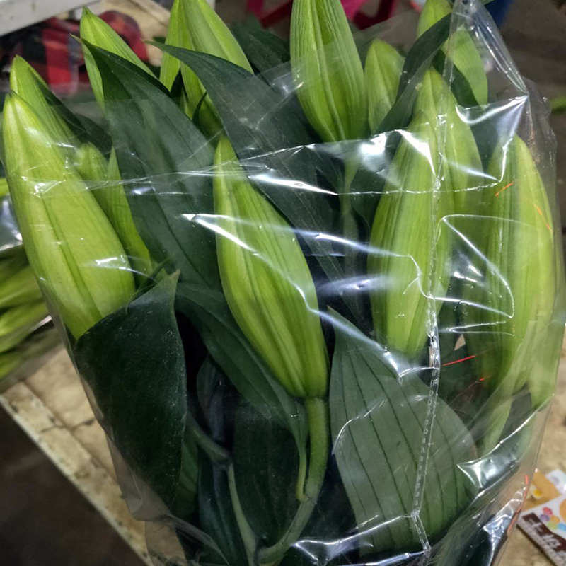鲜花百合花直批家用室内水养速递同城玫瑰花基地直供云南一扎10枝