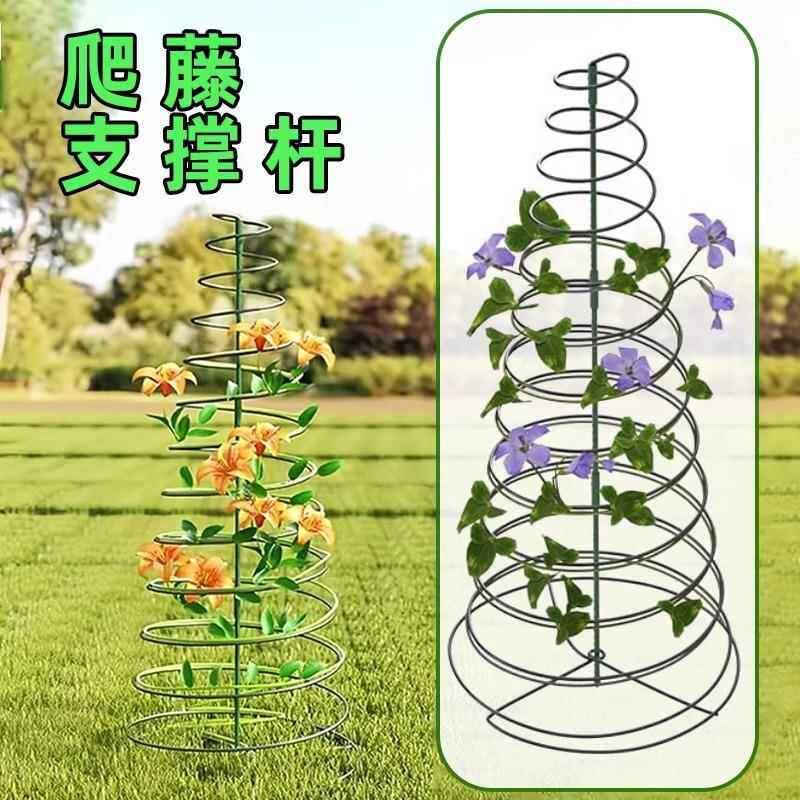 植物支撑螺旋架调节盆栽花盆新品铁环养西红柿花卉固藤蔓蔓藤支架
