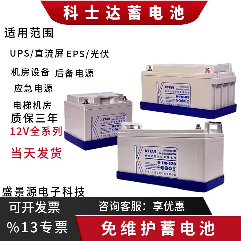 科士达6-FM-38 12V65AH12V24AH12V100AH EPS UPS免维护铅酸电池
