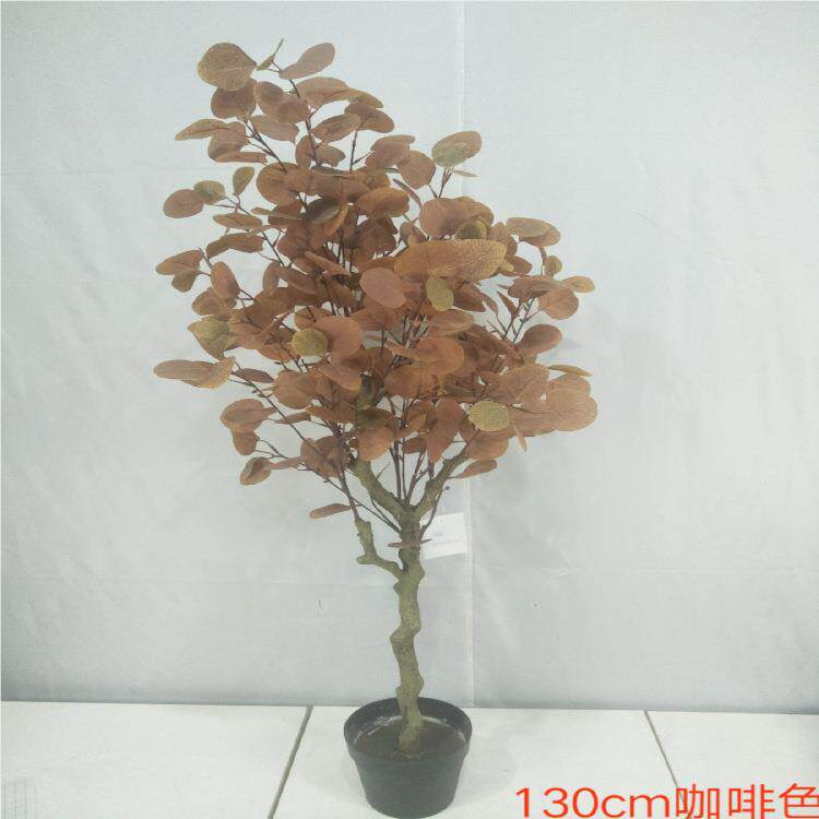 真金钱盆景饰 绿植植仿物假树装 犹加利盆栽 ins风效hj果叶逼真