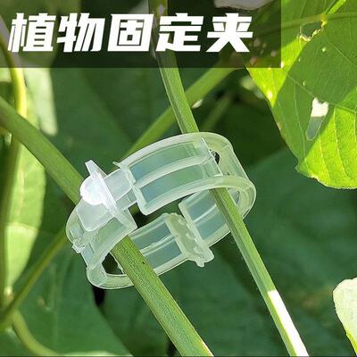 Gardening tools: Tomato hanging rope clips, vine binding cli