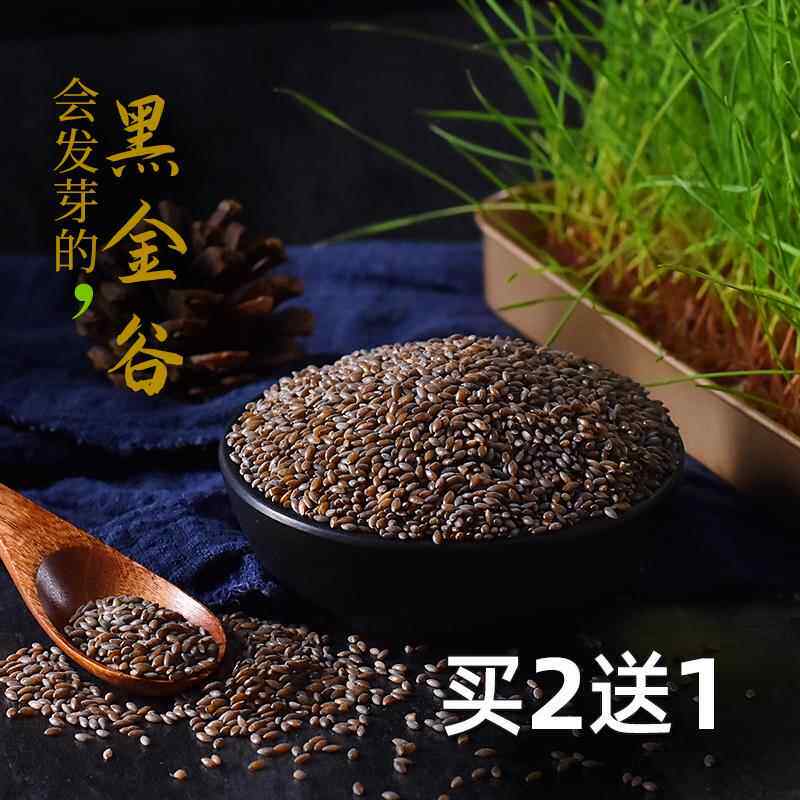 黑金谷米500g燕麦黑小米陕西秦岭五谷杂粮粥原料血燕麦包邮