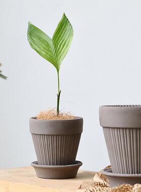 法式西蒙娜复古高级感家居手工水泥陶盆桌面侘寂风北欧花盆带托盘