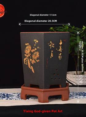 宜兴紫砂兰壶091六角形优质兰花和绿萝卜蜘蛛兰景观植物支持透气