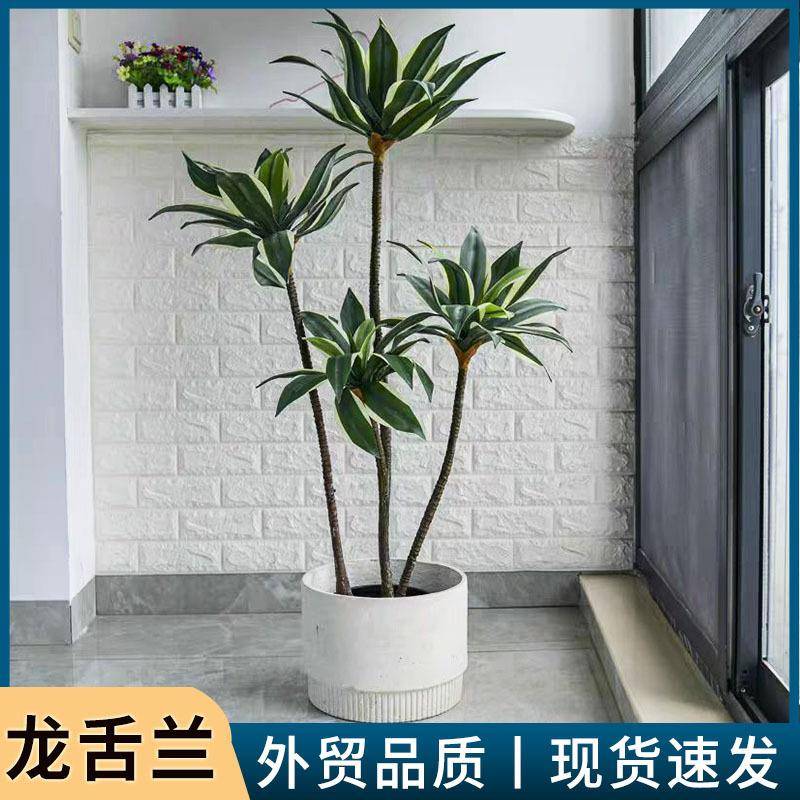 仿真绿植沙漠龙舌兰多头仿真宝莲多肉植物带霜手感树室内装饰盆栽