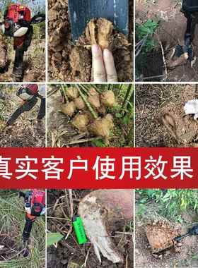 冲程树机起树挖树机起苗机四挖土挖沟移机挖土球汽86621油镐纯汽