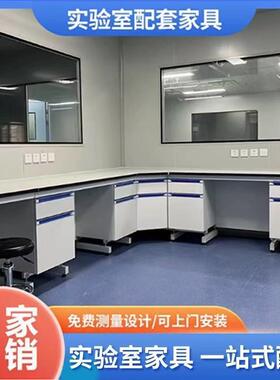 实验室全钢实验台化验室操作台PP边台钢木中央台通风橱吊柜