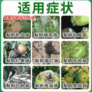 梨树病菌清梨树病专用药赤星病羊胡子病黄叶锈斑病锈病白粉病通用