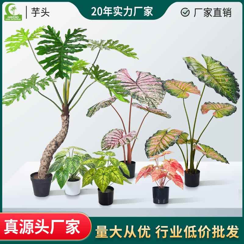 海虹仿真绿植造景仿真彩芋花水芋喜林芋餐厅盆栽摆件假植物